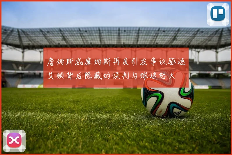 詹姆斯威廉姆斯再度引发争议驱逐艾顿背后隐藏的误判与球迷怒火