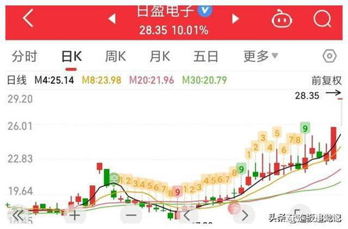 周末复盘 信息系统运行维护服务板块中能否捕捉到“二板大龙”？