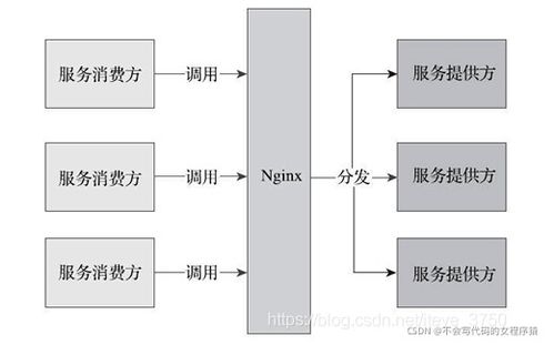Spring Cloud与Dubbo 企业级快速开发架构选型与信息系统运维服务实践
